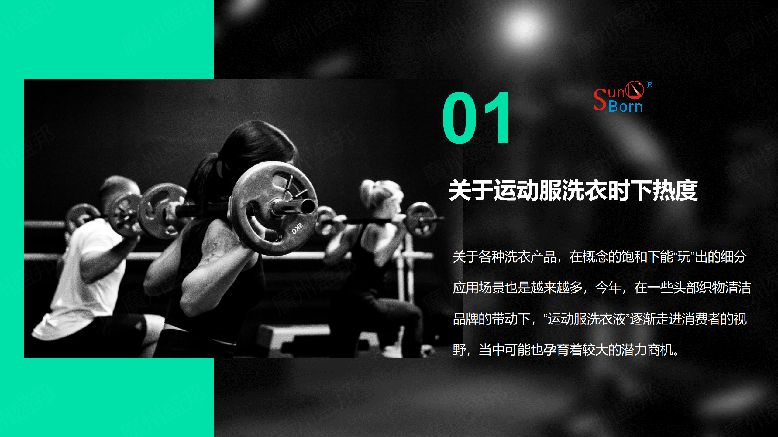 运动服洗衣产品市场简析-修改_02